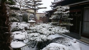 1484436213045 20170115岩月家庭ゆき