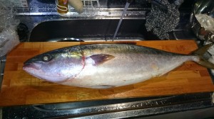 1484546358029いちゃりばぶり20170115