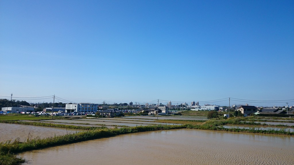 DSC_0337 台風一過20141014