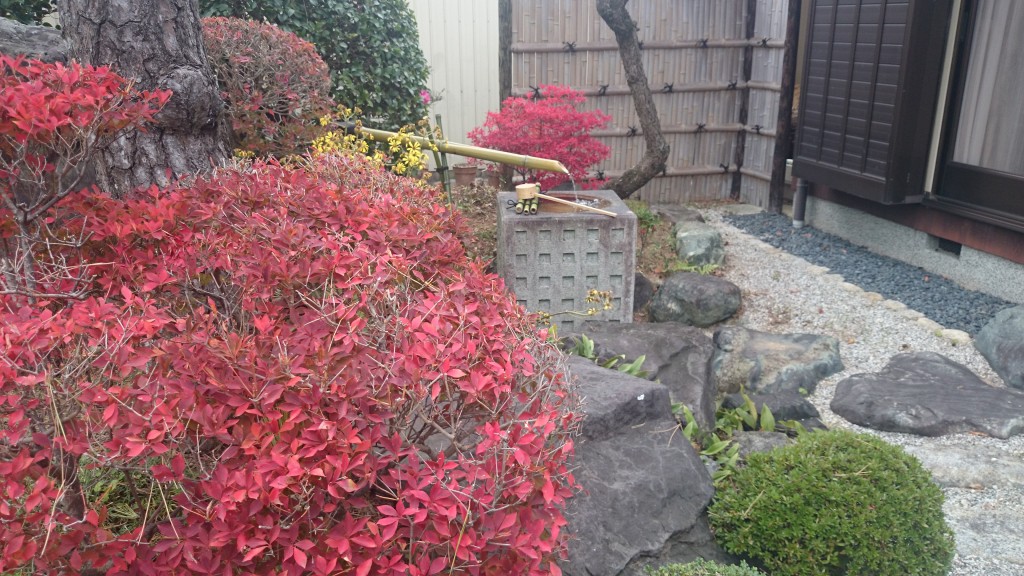 DSC_0443 20141120庭２