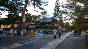 DSC_0474京都20141205Ａ