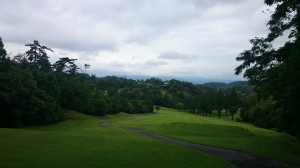 DSC_0800 豊田ＣＣ20150612