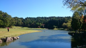 DSC_1097 笹平カントリー20151014