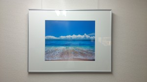 DSC_1328 ｼｬﾄﾙﾌｧｵﾄ20141109から20141110