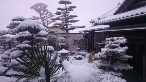 DSC_1435 初積雪20160120