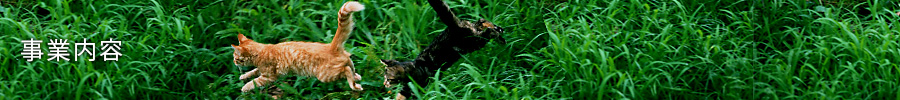 事業内容